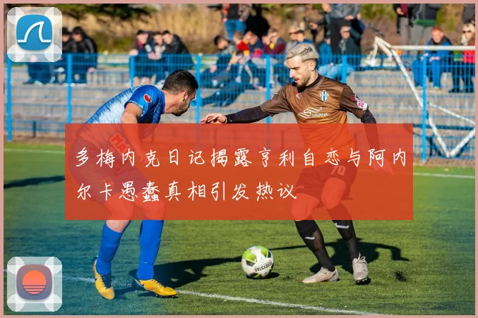 多梅内克日记揭露亨利自恋与阿内尔卡愚蠢真相引发热议